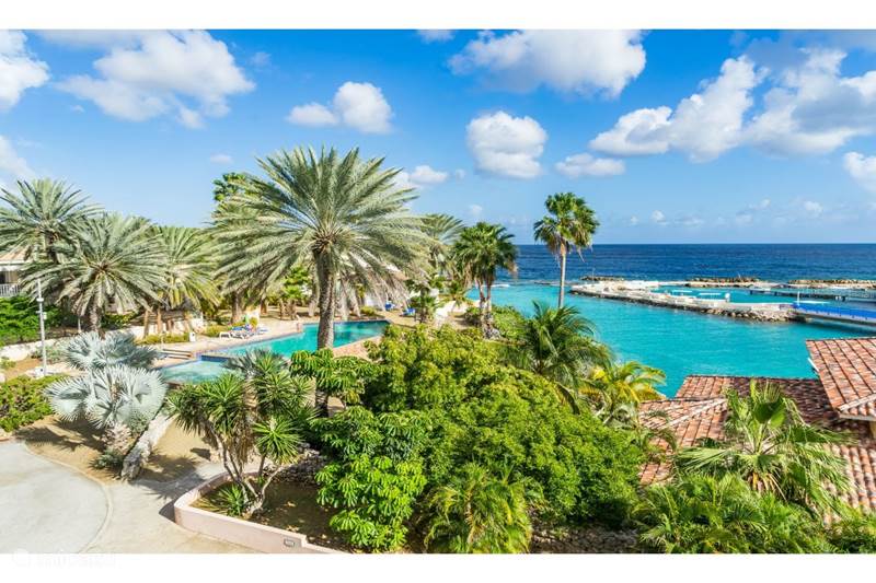 Vakantiehuis Curaçao, Curacao-Midden, Willemstad Appartement Dolphins Corner Curacao Ocean Resort