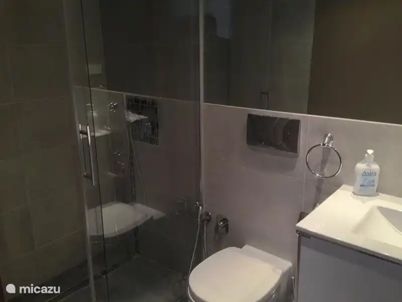 Baño en el dormitorio principal con plato de ducha efecto lluvia.