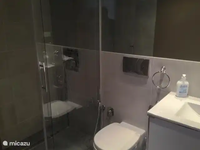 apartamento en España, Costa Blanca, Torrevieja – Casa Leona Baño en el dormitorio principal con plato de ducha efecto lluvia.