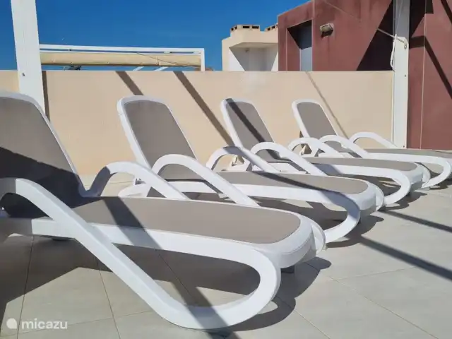 apartamento en España, Costa Blanca, Torrevieja – Casa Leona Tumbonas para todos los huéspedes.