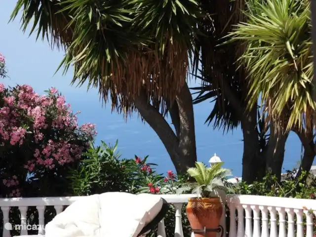 Casa Mirador, vista al mar, privado, lujo en España, Costa del Sol, Torrox - casa vacacional Disfrute leyendo en la silla perezosa bajo las palmeras.