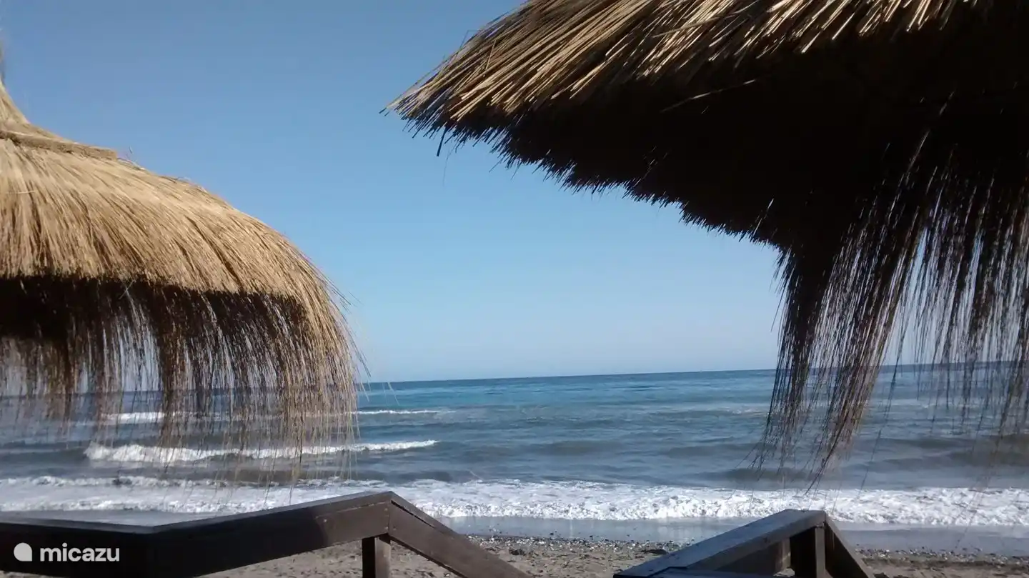 Mangez ou buvez quelque chose près de la mer au bar de la plage Mambo à Torrox Costa.