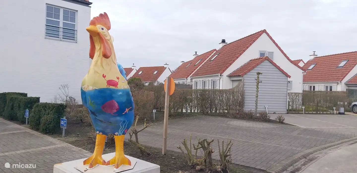 Onze haan heet u welkom!