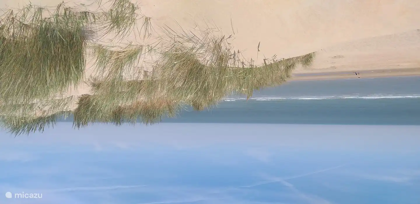 Strand of duinen? Wat verkies jij?