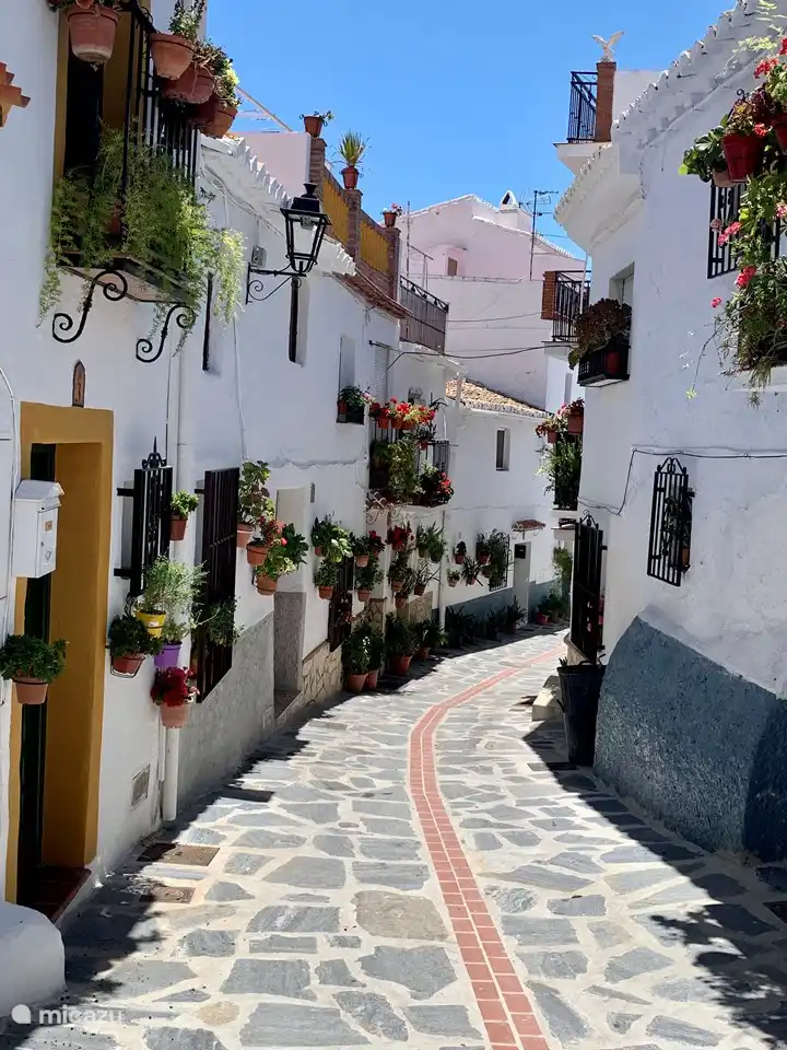 Canillas de aceituno