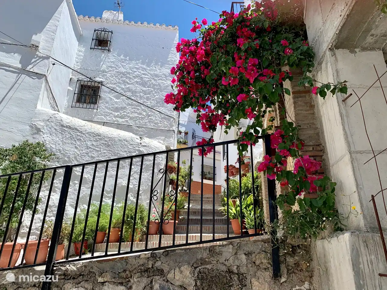 Canillas de aceituno