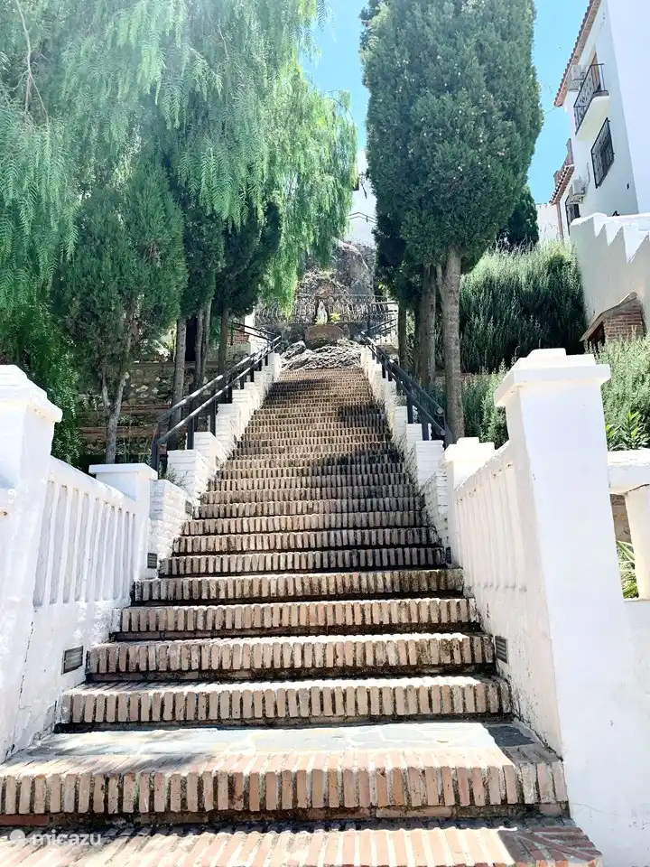 Canillas de aceituno