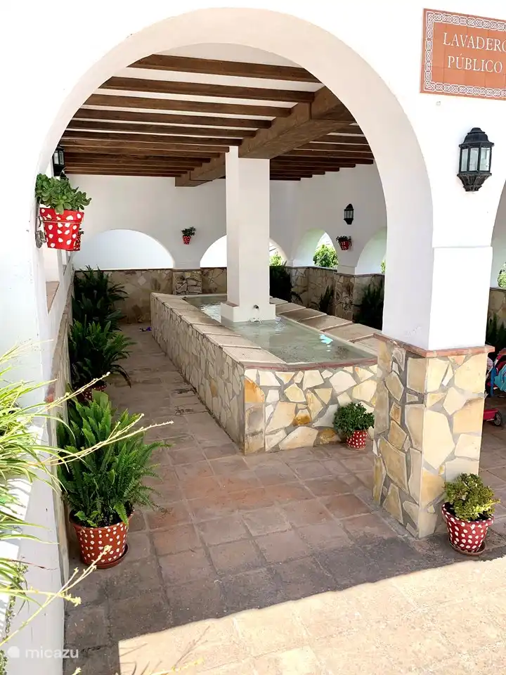 Canillas de aceituno