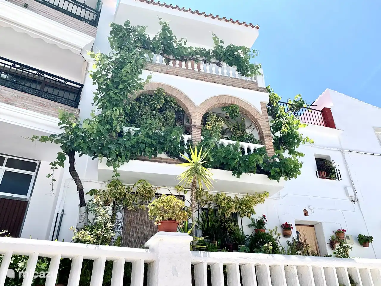 Canillas de aceituno