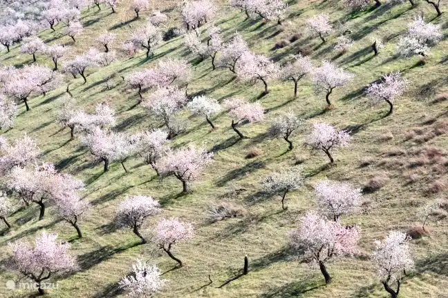 Atmosphärenfotoumgebung