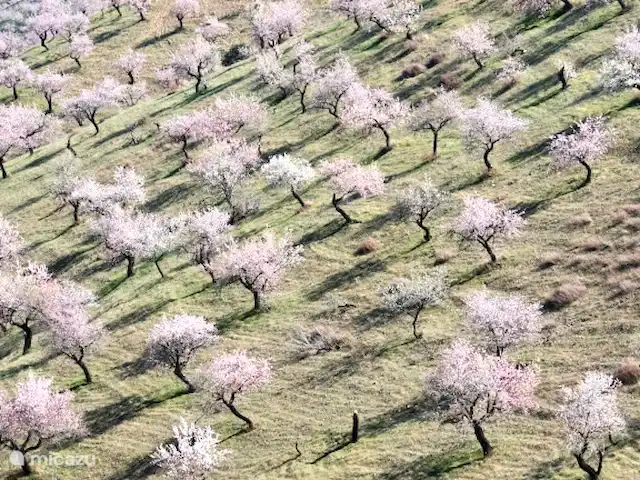 Casa Lucía en España, Andalucía, Canillas de Aceituno - villa Entorno fotográfico de la atmósfera.