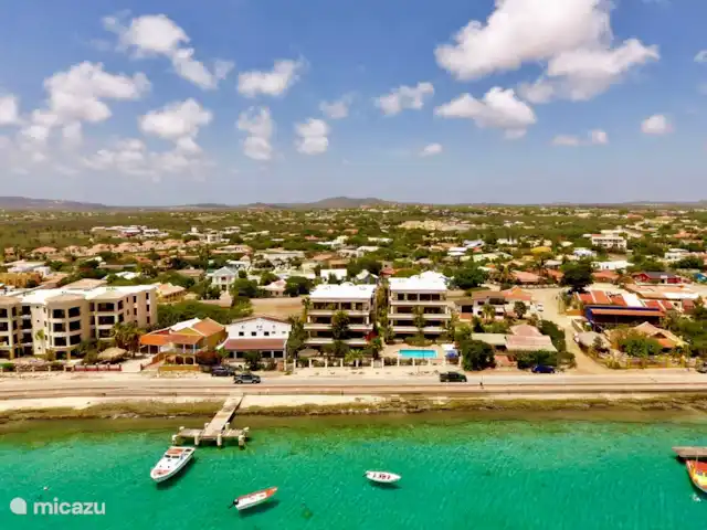 Plage Lechi | Bonaire, Bonaire, Kralendijk - appartement Playa Lechi Residence, l'un des plus beaux complexes d'appartements de Bonaire ! Piscine et mer à votre porte et à 5 minutes à pied de Kralendijk !