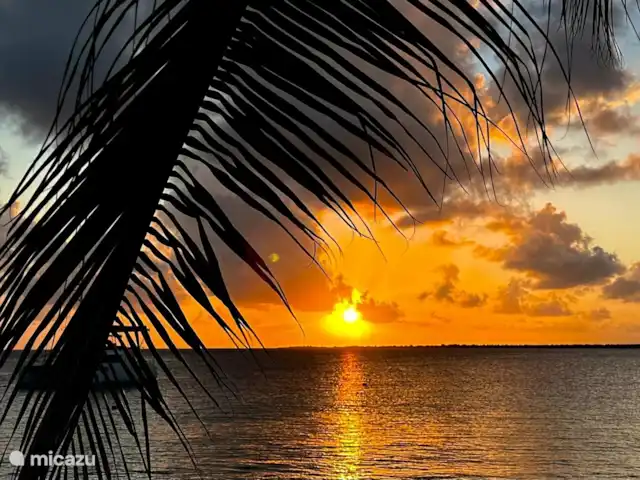 Plage Lechi | Bonaire, Bonaire, Kralendijk - appartement