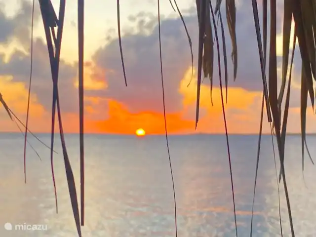 Plage Lechi | Bonaire, Bonaire, Kralendijk - appartement