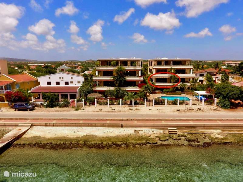Vakantiehuis Bonaire, Bonaire, Kralendijk Appartement Playa Lechi