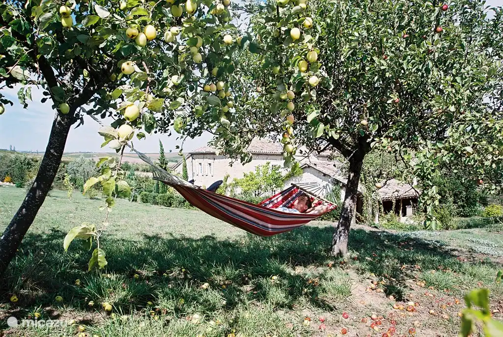 Entspannen Sie sich im Garten unter dem Apfelbaum