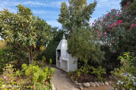 Vakantiehuis Portugal, Algarve, Carvoeiro villa Villa Torre de Cima