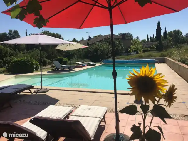 LeDuras | France, Tarn, Fayssac - gîte / cottage La belle piscine d'eau salée de 14m