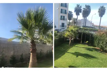 Vakantiehuis Portugal, Algarve, Albufeira villa Casa Maxime