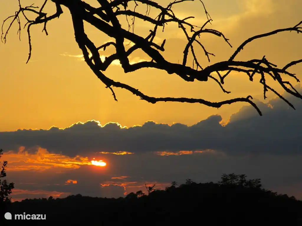 Atemberaubende Bilder bei Sonnenuntergang