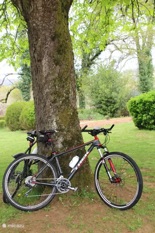 Mountainbiker können hier schöne Ausflüge machen