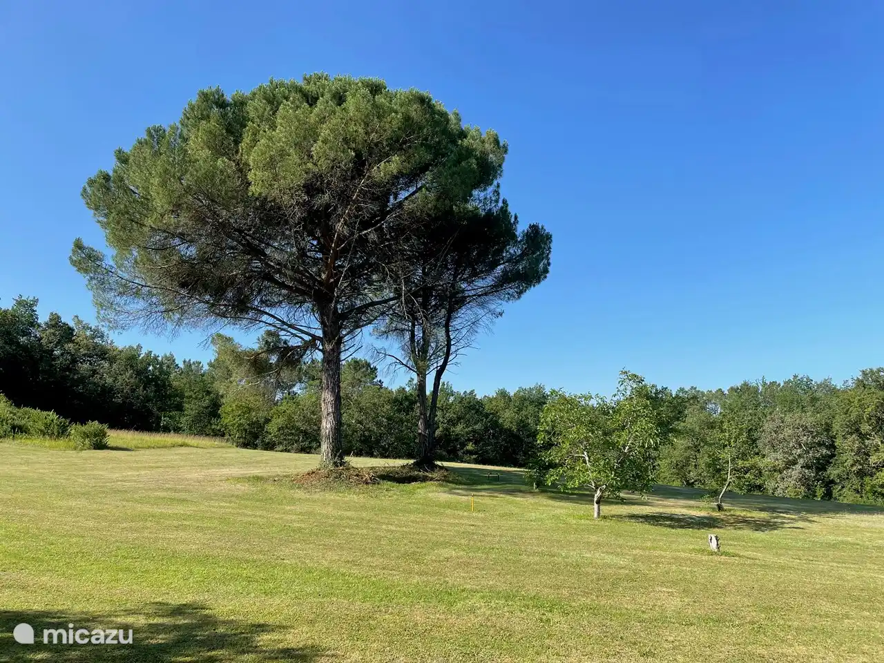 15 Hektar zum Wandern und Genießen der Aussicht. Sie können auch Golf spielen!