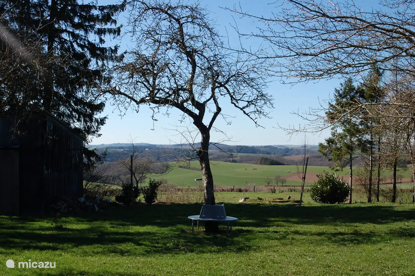 vista desde el jardin