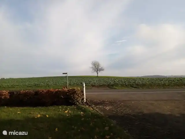Maison STEKO | Allemagne, Eifel, Jucken - ferme Vue de l'allée