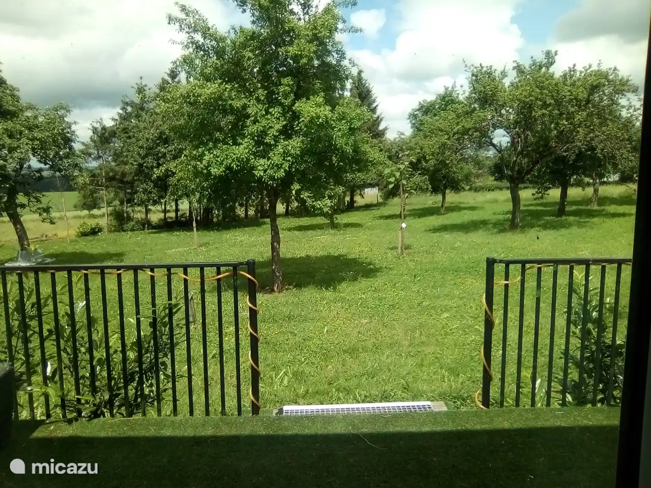 Vista desde la terraza en el jardín con árboles frutales.