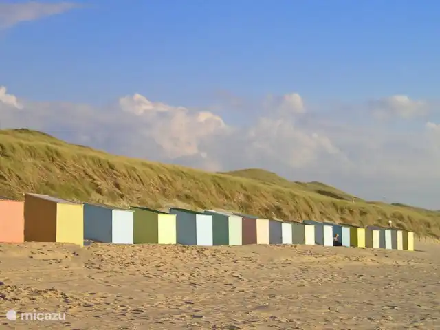 Duinerei A21 | Pays-Bas, Hollande du Nord, Callantsoog - appartement Alentours