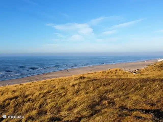 Duinerei A21 | Pays-Bas, Hollande du Nord, Callantsoog - appartement Plage de Groote Keeten