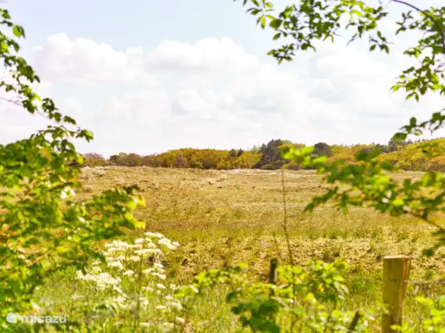 Garnekuul Callantsoog 77 | Pays-Bas, Hollande du Nord, Callantsoog - maison de vacances Heather Callantsoog