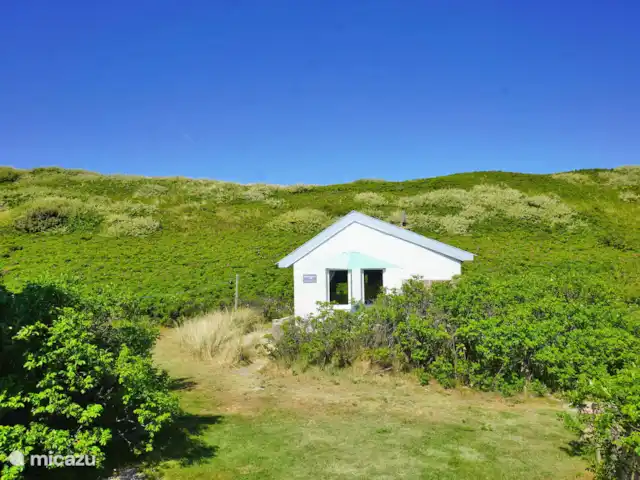 Duinhuisje Callantsoog en Países Bajos, Holanda del Norte, Callantsoog - apartamento Al aire libre