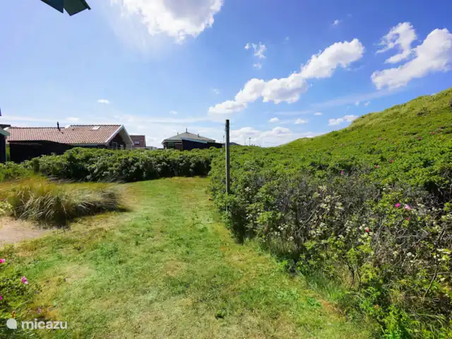 Duinhuisje Callantsoog en Países Bajos, Holanda del Norte, Callantsoog - apartamento Jardín