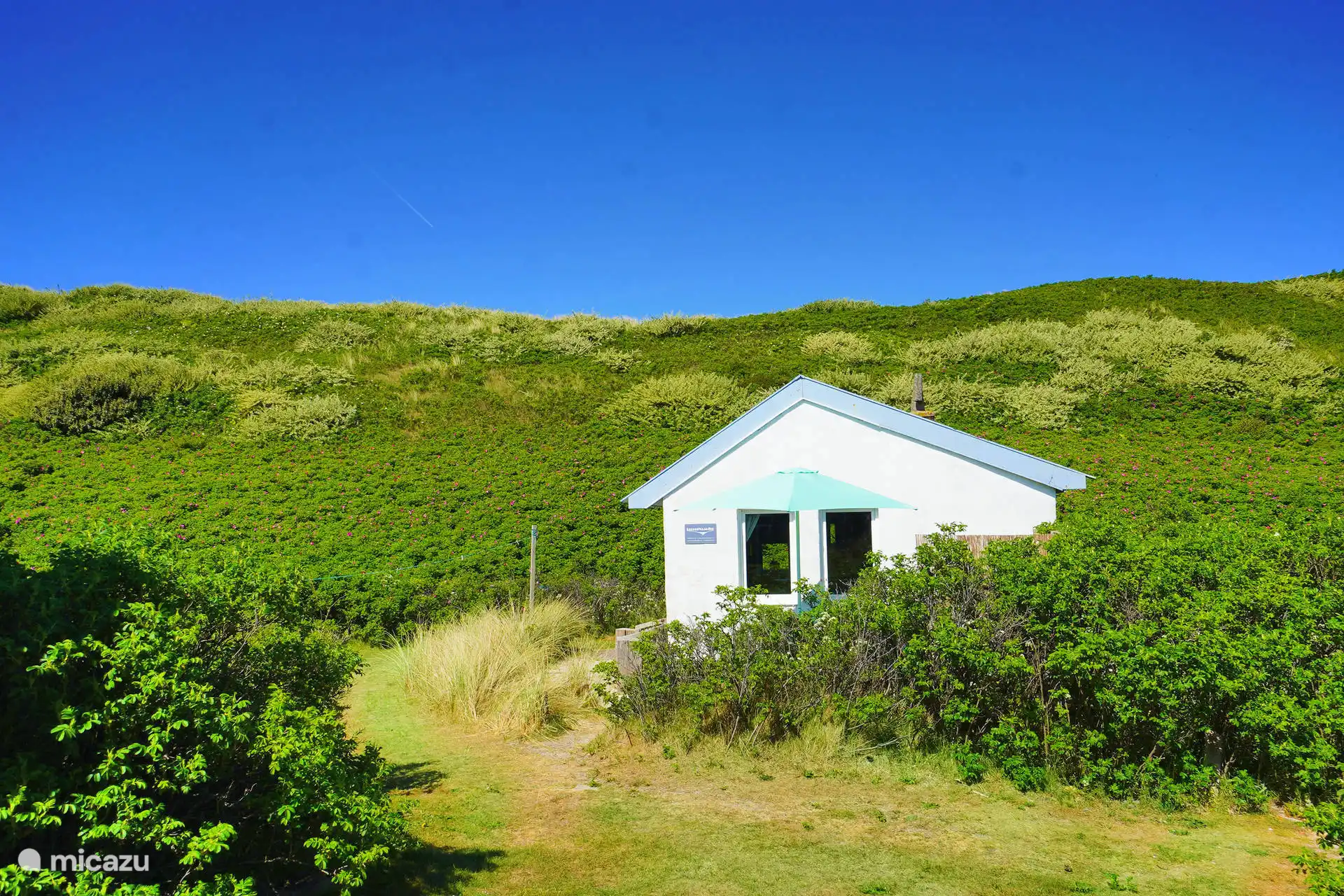Duinhuisje Callantsoog in Niederlande, Nordholland, Callantsoog - appartement