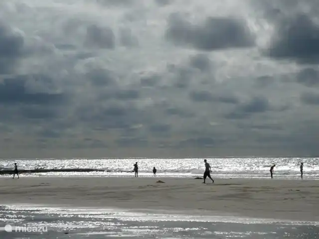 Duinhuisje Callantsoog en Países Bajos, Holanda del Norte, Callantsoog - apartamento ambiente