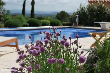 Vakantiehuis Frankrijk, Vaucluse, Saumane-de-Vaucluse villa Villa le Loup