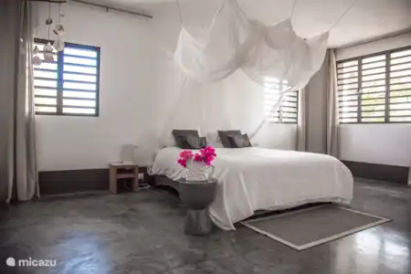 Ferienwohnung Bonaire, Bonaire, Belnem villa Gewächshaus Flamingo
