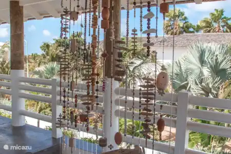Ferienwohnung Bonaire, Bonaire, Belnem villa Gewächshaus Flamingo