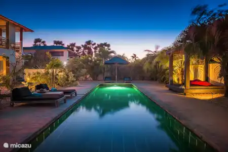 Ferienwohnung Bonaire, Bonaire, Belnem villa Gewächshaus Flamingo