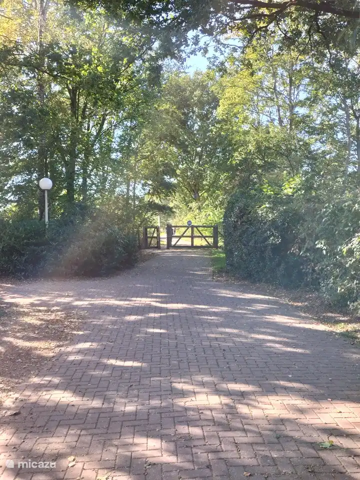 You can walk straight out of the park and into the woods.