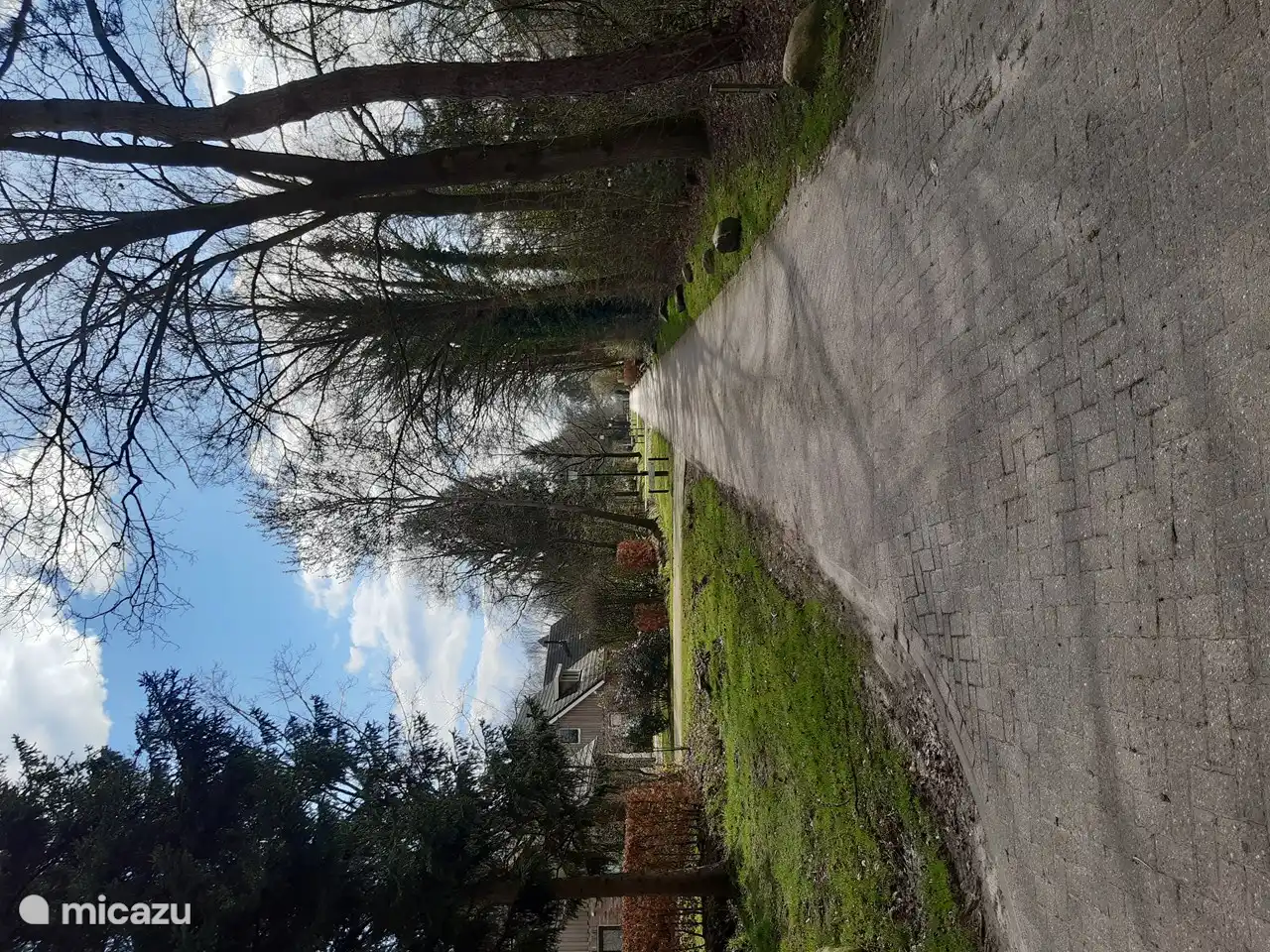 Road in front of the house.