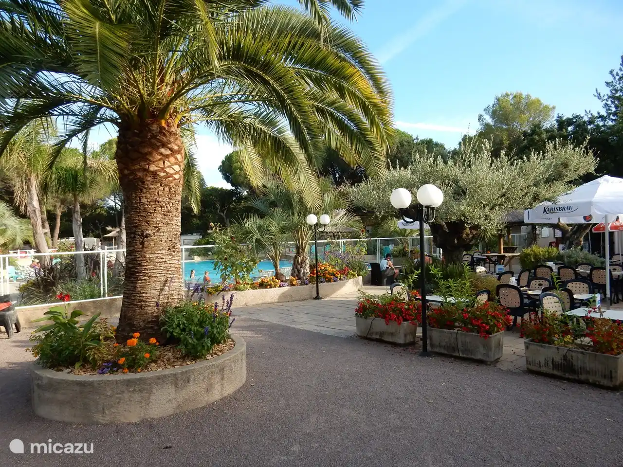 Belle terrasse de restaurant extérieure et couverte qui donne en partie sur la piscine.