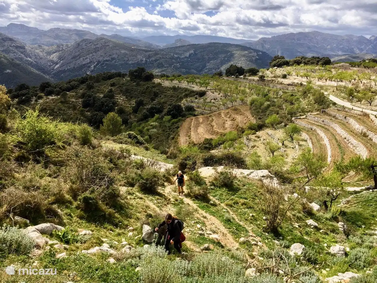schöne Spaziergänge in der Nähe ......