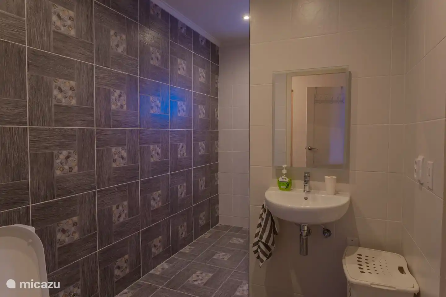 Badezimmer mit Toilette und Dusche