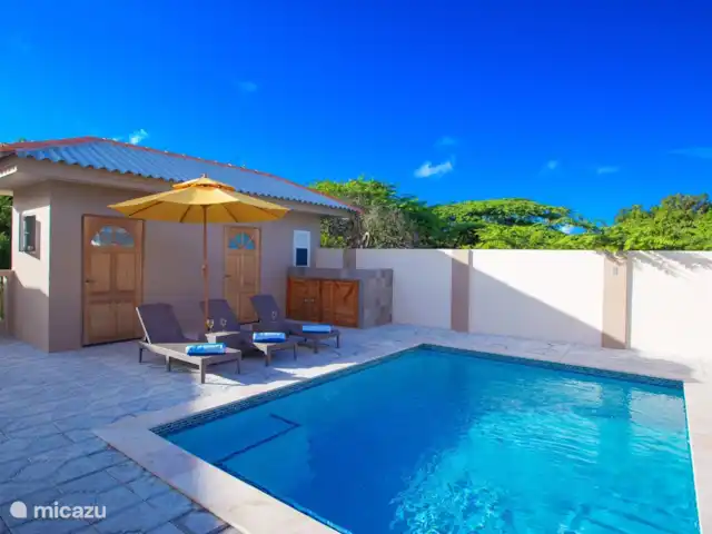Villa NorMir huren in Curaçao, Curacao-Midden, Willemstad - villa Het zwembad heeft ligstoelen en parasols