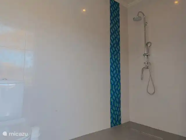 Villa NorMir huren in Curaçao, Curacao-Midden, Willemstad - villa De doucheruimte naast het zwembad ook toilet aanwezig