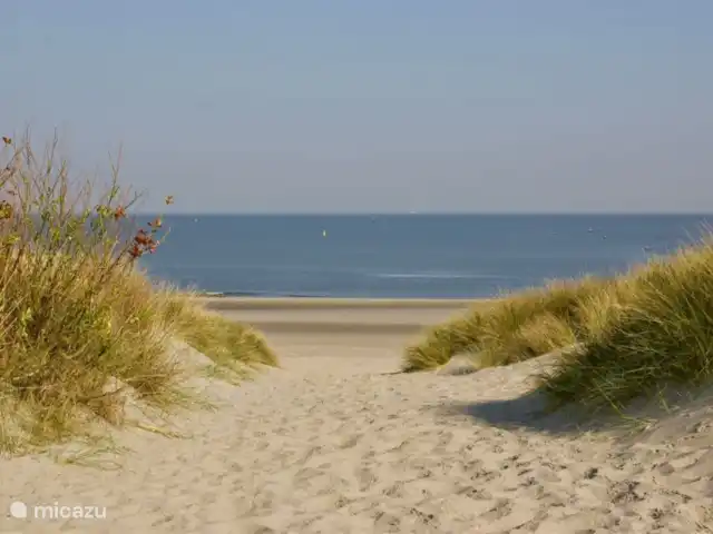 Vakantievilla in Zeeland huren in Nederland, Zeeland, Kamperland - villa overgang naar het Banjaardstrand