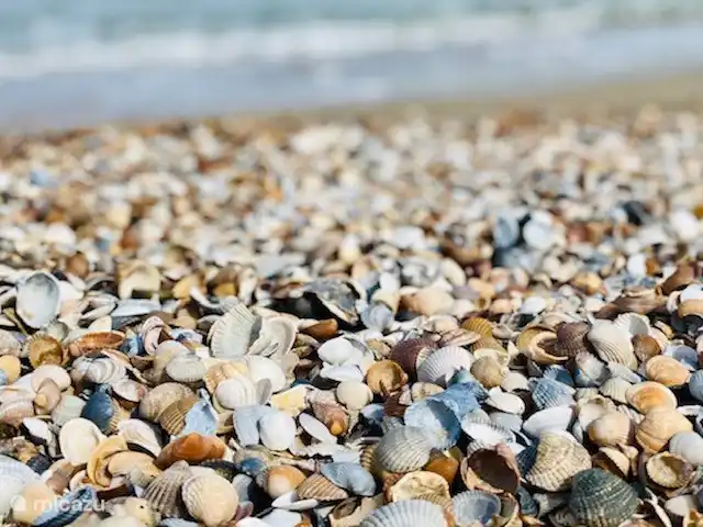 Vakantievilla in Zeeland huren in Nederland, Zeeland, Kamperland - villa schelpen rapen