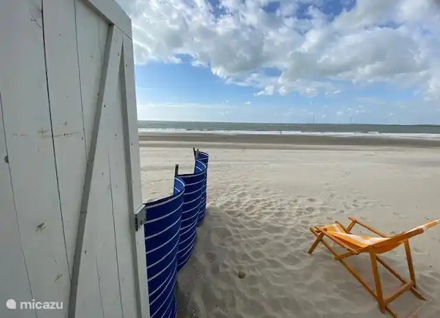 Unser Strandzimmer ist mit 4 Sonnenliegen, einer Windschutzscheibe und einem Sonnenschirm ausgestattet